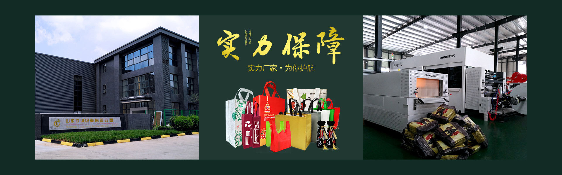 無(wú)紡布袋廠