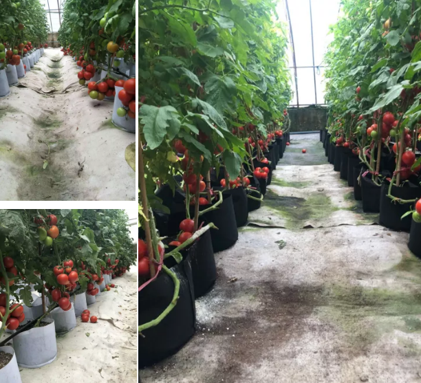 20210417/b1959b4fd3ab506f153cad588f9ab00d.png 20210417/b1959b4fd3ab506f153cad588f9ab00d.png