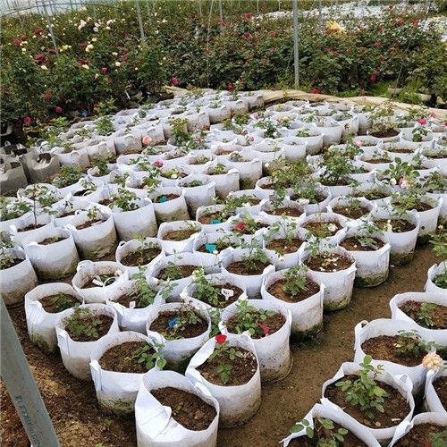 20210417/f5aca1f2d86efcd8c555b5262ad6cde8.jpg 20210417/f5aca1f2d86efcd8c555b5262ad6cde8.jpg